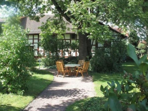 Comfortable Apartment in Tabarz Thuringia near Forest Tabarz
